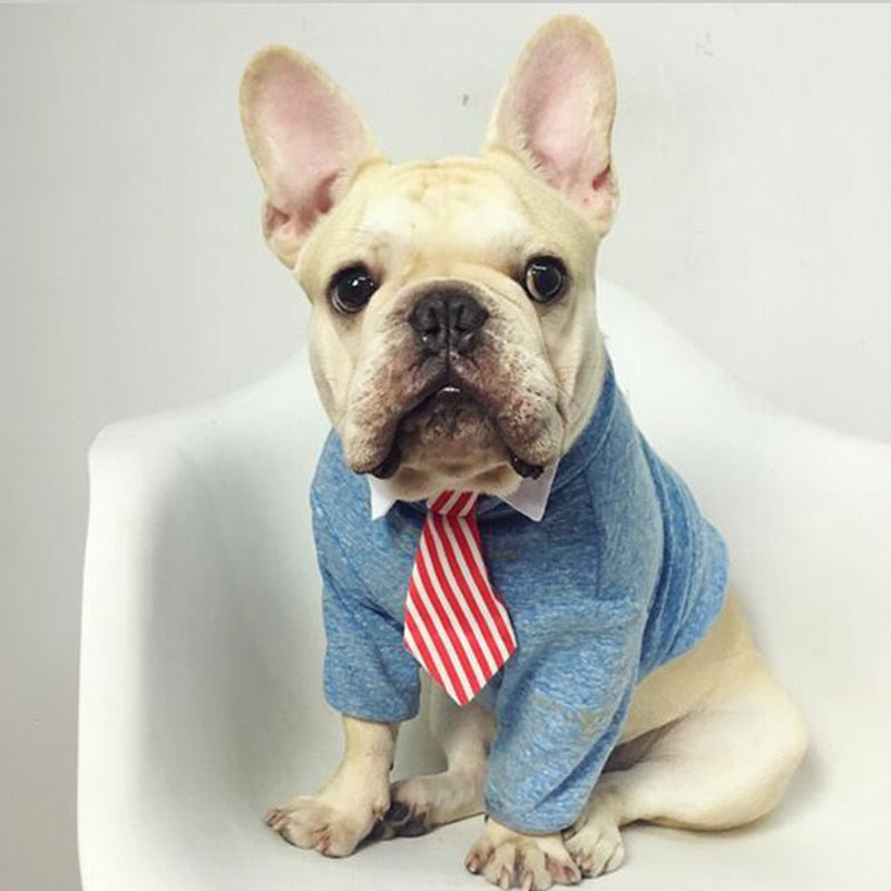 Elegante Hundekrawatte & Katzenfliege