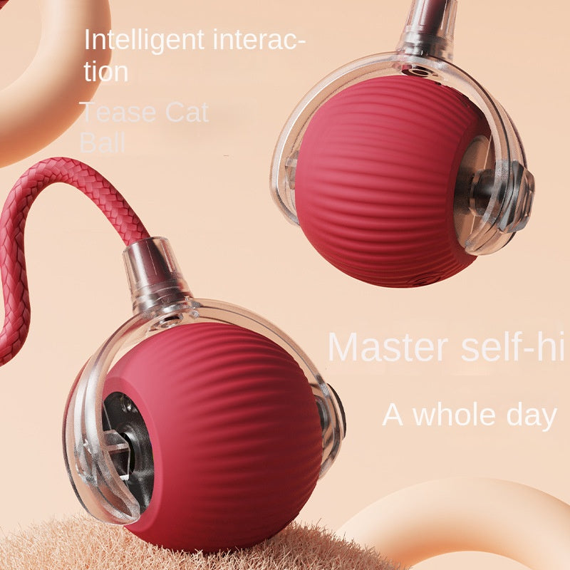 Interaktiver Schwerkraft-Rollball für Katzen
