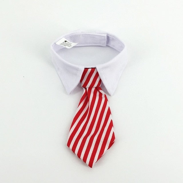 Elegante Hundekrawatte & Katzenfliege