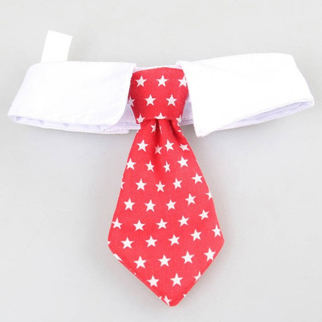Elegante Hundekrawatte & Katzenfliege