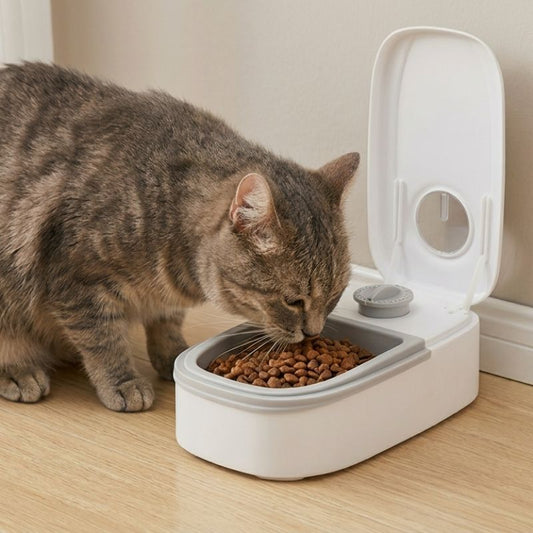 Automatischer Futterautomat für Tiere