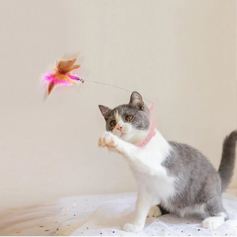 Katzen-Federstab mit Glöckchen -Interaktives Teaser