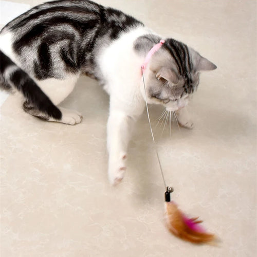 Katzen-Federstab mit Glöckchen -Interaktives Teaser