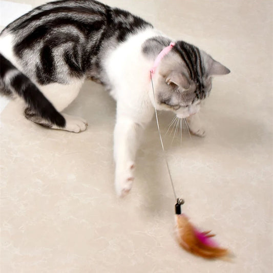 Katzen-Federstab mit Glöckchen -Interaktives Teaser
