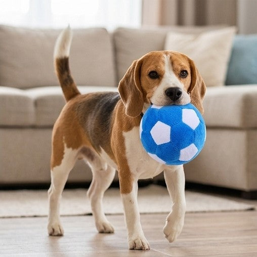 Plüsch-Quietschball für Hunde