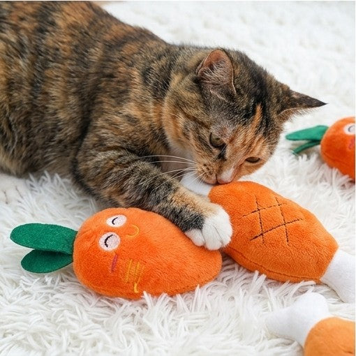 Quietschspielzeug mit Knochen & Gemüse Design für Hunde & Katzen