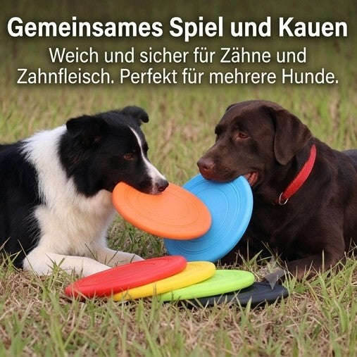 Interaktives Hunde-Frisbee