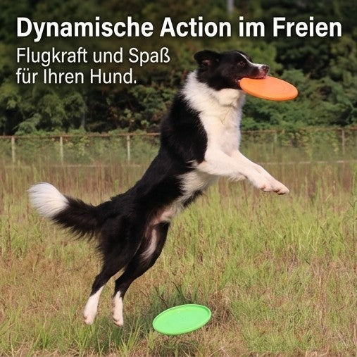 Interaktives Hunde-Frisbee